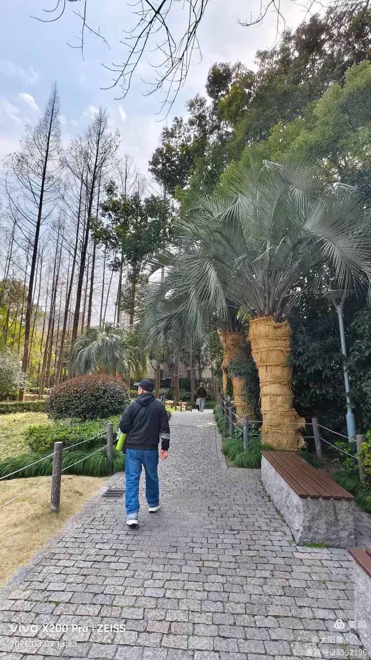 散步寻觅新线路:五原路→→华山绿地4000步x2